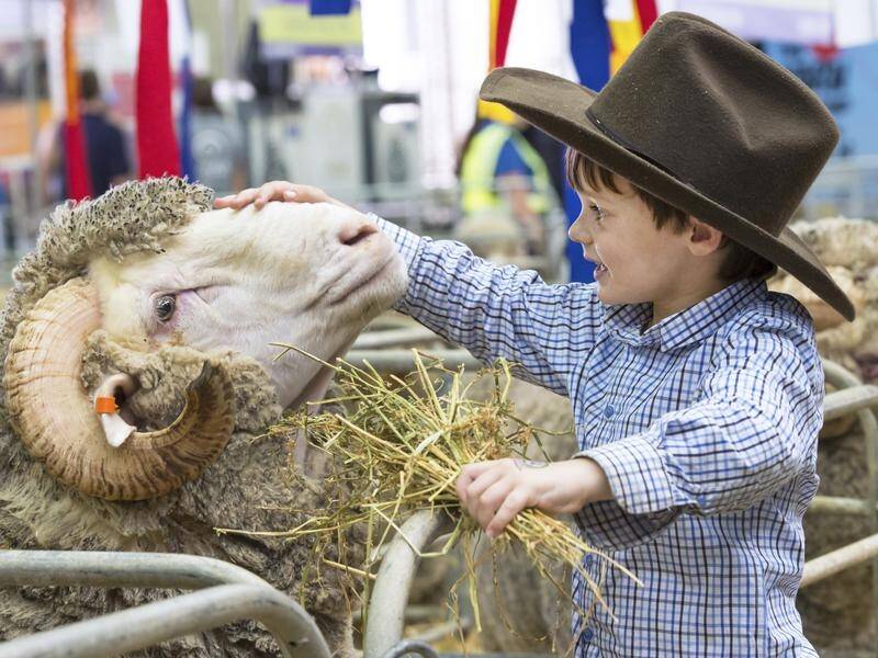 The NSW government says regional show committees can start planning for next year's events.
