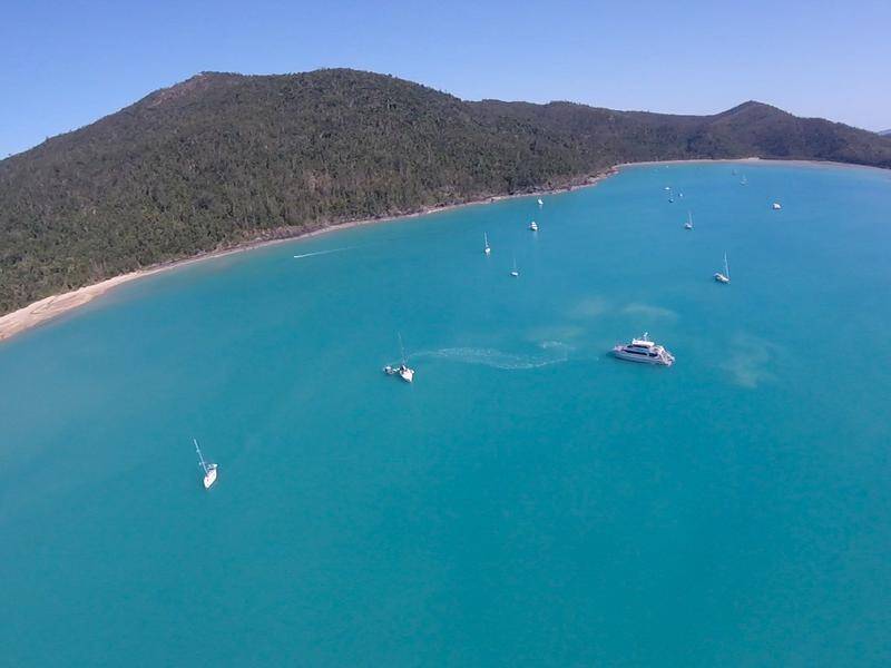 A study after shark attacks has found low shark numbers at the Whitsunday Islands.