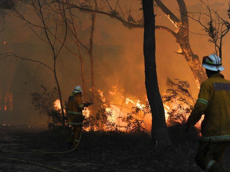 Firefighters are battling 74 bushfires across NSW.