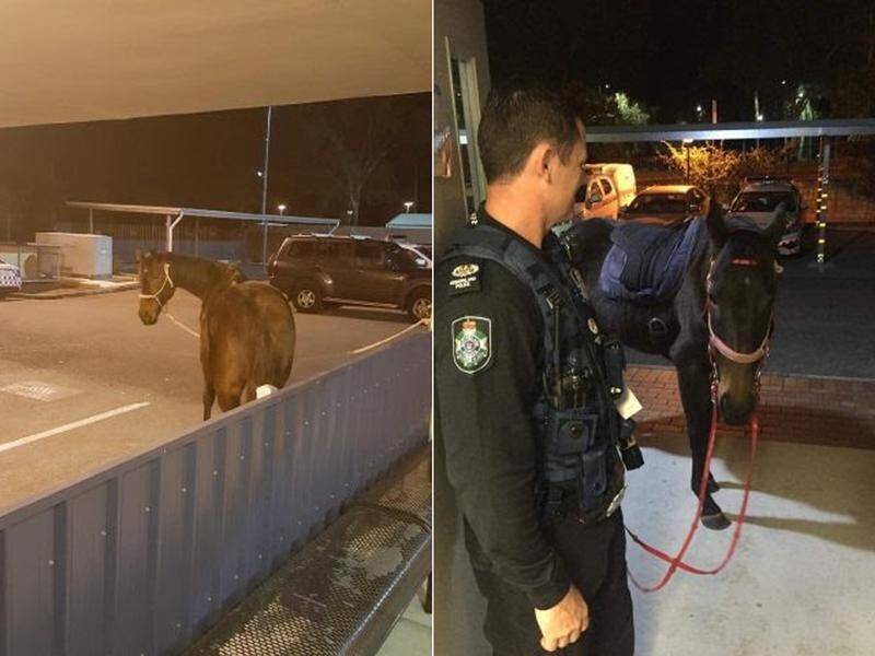 A woman has been charged over riding a horse to the pub allegedly four times over the legal limit