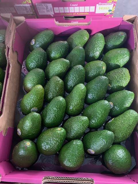 On average Australians consume 3.5 kilograms of avocado per person every year. Photo: Supplied 