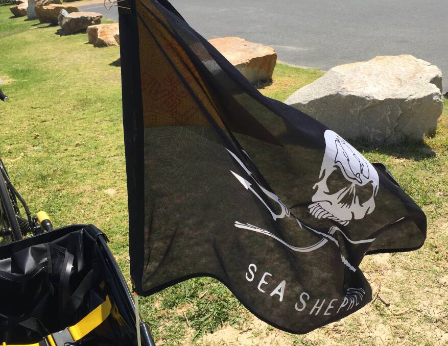 Mr Squibb is also a member of the Coffs Harbour Sea Shepard. 
