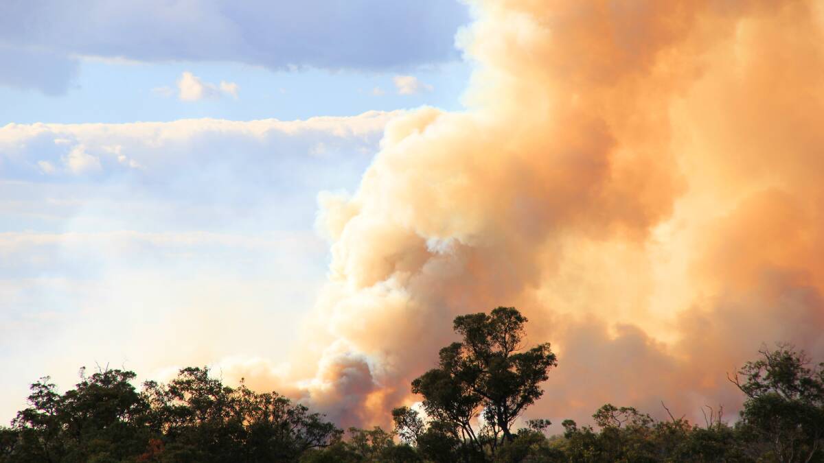Early bushfire season now the new normal